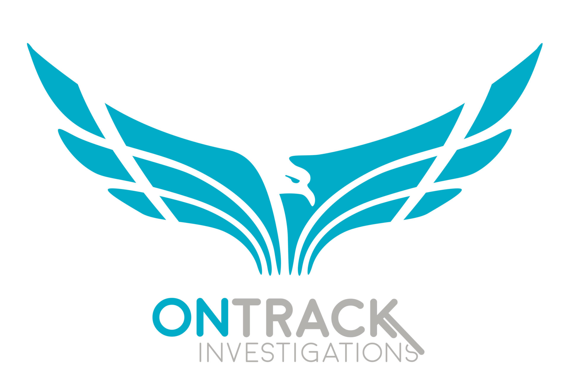 On Track Investigations